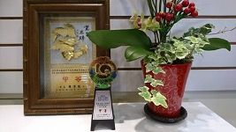 台南市107居服甲等、108居服優等  .jpg